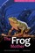 The Frog Mother
