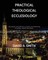Practical Theological Ecclesiology