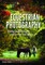 Equestrian Photography