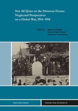 Not All Quiet on the Ottoman Fronts: Neglected Perspectives on a Global War, 1914-1918