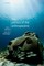 The Politics of the Anthropocene