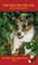 The Dog On The Log Chapter Book