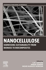 Nanocellulose: Harnessing Sustainability from Biomass to Biocomposites