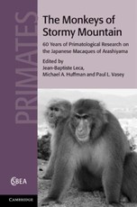 Monkeys of Stormy Mountain