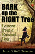 Bark up the Right Tree