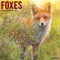 Foxes 2022 Wall Calendar