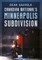 Canadian National's Minneapolis Subdivision