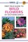 First Field Guide to Wild Flowers of Southern Africa (el. knyga)