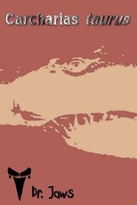 Carcharias taurus