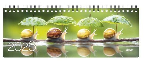 Kalendorius stalinis MEMO CARD travelers