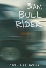 3 AM Bull Rider