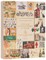 A Story of Gastronomy & Wine