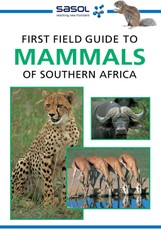 First Field Guide to Mammals of Southern Africa