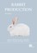 Rabbit Production