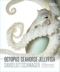Octopus, Seahorse, Jellyfish