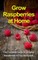 Grow Raspberries at Home