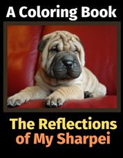 The Reflections of My Sharpei