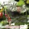 Small Worlds, Of Bees and Trees and Butterfly Knees, A Book of Classic Poetry for Children