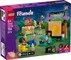 LEGO Friends konstruktorius „Draugių kino maratonas“