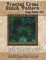 Fractal Cross Stitch Pattern
