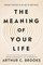 The Meaning of Your Life