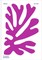 Colour Unbound: Henri Matisse 1941-1954