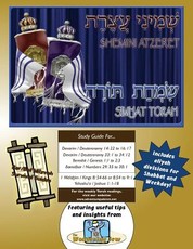 Bar/Bat Mitzvah Survival Guides