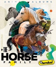 The Horse Family