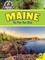 Maine: The Pine Tree State
