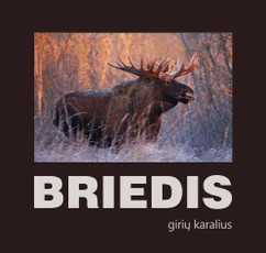 Briedis. Girių karalius