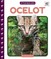 Ocelot