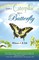 L. B. Toh, W: From a Caterpillar into a Butterfly
