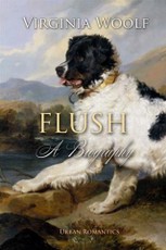 Flush