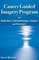 Cancer Guided Imagery Program for Radiation, Chemotherapy, Surgery and Recovery