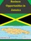 Business Opportunities in Jamaica