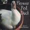Rainey, J: Flower Pot Duck