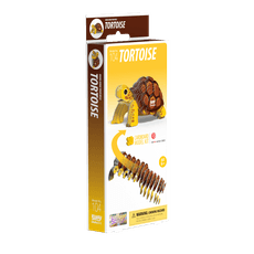 EUGY 3D kartoninis modelis „Sausumos vėžlys“