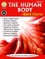Human Body Quick Starts, Grades 4 - 9