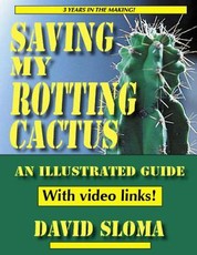 Saving My Rotting Cactus