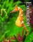 Princeton Guide to Evolution