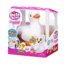 PETS ALIVE Rinkinys „Mamos anties siurprizas“