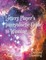 Lottery Player's Intergalactic Guide to Winning
