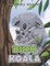 The Bush Koala