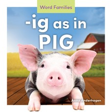 Ig as in Pig