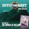 Into the Mist