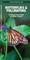 Butterflies & Pollinators