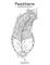 Feathers Coloring Book for Grown-Ups 2