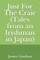 Just for the Craic (Tales from an Irishman in Japan)