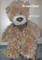 Brown Bear