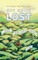 Not Quite Lost